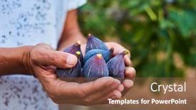  Presentation with outdoors - Amazing slides having closeup-of-a-young-caucasian backdrop and a tawny brown colored foreground