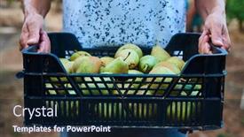  Presentation with orchard - Slides with closeup-of-a-young-caucasian background and a navy blue colored foreground