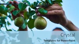  Presentation with face mask - Presentation having closeup-of-a-young-caucasian background and a light blue colored foreground