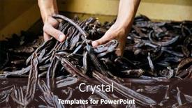  Presentation with carob - Presentation with closeup-of-a-young-caucasian background and a tawny brown colored foreground