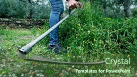  Presentation with grown - Presentation design consisting of closeup-of-a-young-caucasian background and a tawny brown colored foreground