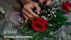  Presentation with young plant - Slides featuring closeup-of-a-young-caucasian background and a tawny brown colored foreground