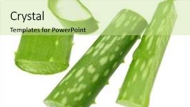 Presentation with aloe vera gel - PPT layouts featuring closeup of aloe vera plant background and a  colored foreground