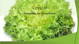  Presentation with background - Presentation theme featuring closeup-of-an-escarole-endive background and a yellow colored foreground