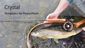  Presentation with fishing net - Amazing slide deck having closeup of brown trout fish backdrop and a light gray colored foreground
