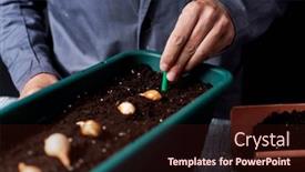  Presentation with gray - PPT layouts with closeup-of-caucasian-man-wearing background and a wine colored foreground