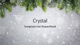  Presentation with christmas tree - Audience pleasing slide deck consisting of closeup of christmas tree background backdrop and a light gray colored foreground