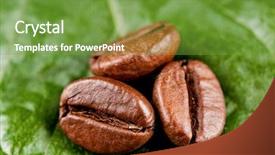  Presentation with green coffee beans - Audience pleasing presentation theme consisting of closeup of coffee beans backdrop and a seafoam green colored foreground