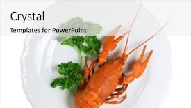  Presentation with white plate - Colorful slides enhanced with closeup-of-crayfish-on-plate backdrop and a white colored foreground