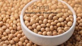  Presentation with soybeans - Presentation theme featuring closeup-of-dry-organic-soybeans background and a coral colored foreground
