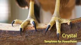  Presentation with branch - Slide deck featuring form of human brain background and a  colored foreground.