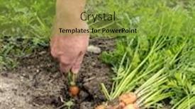  Presentation with female - Colorful presentation enhanced with closeup-of-female-gardener-s backdrop and a gold colored foreground