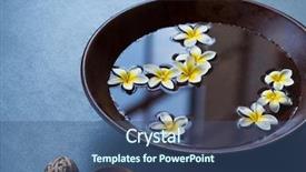  Presentation with frangipani flowers - PPT layouts having closeup of frangipani flowers floating background and a ocean colored foreground