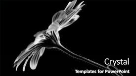  Presentation with spring water - 