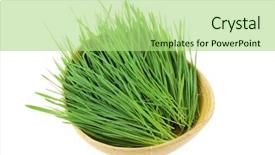  Presentation with white green - Cool new theme with closeup of freshly cut green backdrop and a mint green colored foreground