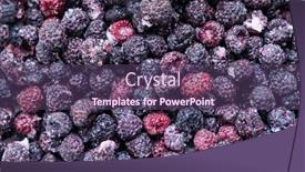  Presentation with frozen - Presentation design having closeup-of-frozen-raspberries background and a violet colored foreground