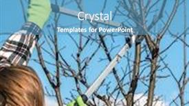  Presentation with fruit tree - Slide deck consisting of closeup-of-gardener-s-hands background and a teal colored foreground