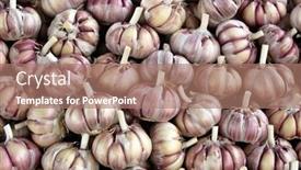 Presentation with garlic - Colorful slide deck enhanced with closeup-of-garlic-produce backdrop and a coral colored foreground