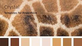  Presentation with skin - Beautiful PPT theme featuring closeup-of-giraffe-skin backdrop and a coral colored foreground