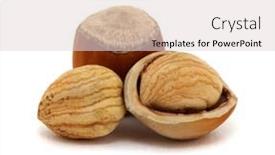  Presentation with hazelnuts - Cool new slides with closeup of hazelnuts isolated on the white background backdrop and a light gray colored foreground