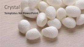  Presentation with silk - PPT theme enhanced with closeup-of-natural-silk-cocoons background and a soft green colored foreground