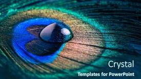  Presentation with feather - Cool new presentation design with closeup-of-peacock-eye-feather backdrop and a ocean colored foreground