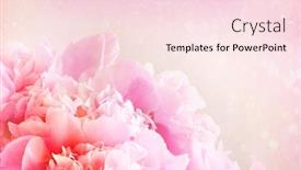  Presentation with peony flower - PPT theme featuring closeup-of-peony-flower background and a lemonade colored foreground