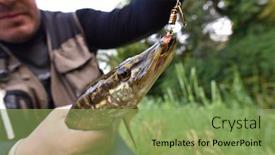  Presentation with fisherman - Audience pleasing presentation consisting of closeup-of-pike-caught backdrop and a seafoam green colored foreground