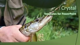  Presentation with fisherman - Amazing PPT layouts having closeup of pike caught by fisherman backdrop and a tawny brown colored foreground