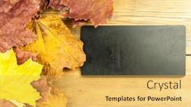  Presentation with maple leaf - Amazing PPT layouts having closeup-of-red-maple-leaf backdrop and a yellow colored foreground