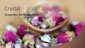  Presentation with tea - PPT theme with closeup-of-rosebud-tea-blossoms background and a soft green colored foreground