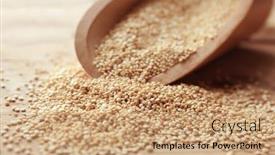  Presentation with quinoa - Theme with closeup of scoop with raw quinoa grains on wooden table background and a coral colored foreground