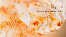  Presentation with seashell - Cool new presentation theme with closeup-of-seashell-texture backdrop and a  colored foreground