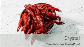  Presentation with container - PPT theme having closeup-of-some-cooked-crayfish background and a light gray colored foreground