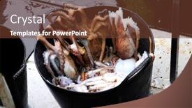  Presentation with fishing boat - Audience pleasing PPT layouts consisting of closeup-of-some-freshly-fished backdrop and a tawny brown colored foreground