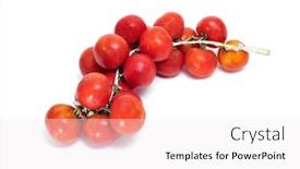  Presentation with string orchestra - PPT theme enhanced with closeup-of-some-heirloom-tomatoes background and a sky blue colored foreground