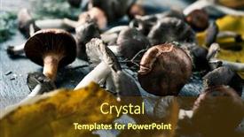  Presentation with dry forest - Slide deck consisting of closeup-of-some-spanish-edible background and a tawny brown colored foreground