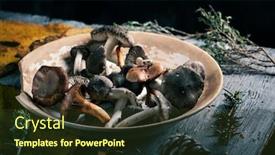  Presentation with dry forest - Presentation theme enhanced with closeup-of-some-spanish-edible background and a tawny brown colored foreground