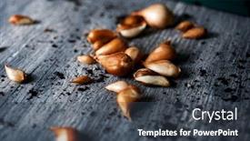  Presentation with tulip - PPT theme enhanced with closeup-of-some-tulip-bulbs background and a tawny brown colored foreground