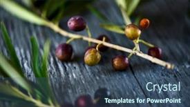  Presentation with olive tree - Amazing slide deck having closeup-of-some-twigs backdrop and a ocean colored foreground