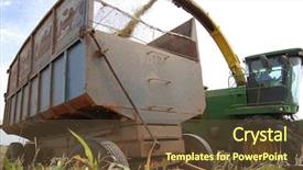  Presentation with mato grosso brazil - Beautiful theme featuring forage crops - closeup of sorghum harvested backdrop and a tawny brown colored foreground