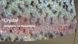  Presentation with fish scales - Presentation design having closeup of the fish skin background and a gray colored foreground