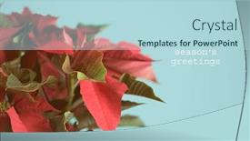  Presentation with red seasons greetings - PPT layouts featuring closeup-of-the-red-leaves background and a light blue colored foreground