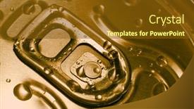  Presentation with beer - Colorful PPT layouts enhanced with closeup-of-the-top backdrop and a tawny brown colored foreground