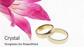  Presentation with flower wedding - Beautiful presentation featuring closeup of wedding bands backdrop and a  colored foreground