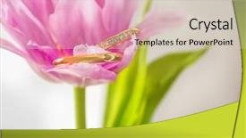 Presentation with flower wedding - Slide deck featuring closeup of wedding rings on pink beautiful flower background and a soft green colored foreground