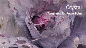  Presentation with vegetable garden - Presentation theme consisting of closeup-of-wet-homegrown-red background and a gray colored foreground