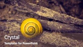  Presentation with snail - Amazing PPT layouts having closeup on a little yellow backdrop and a violet colored foreground
