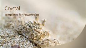  Presentation with oropharynx cancer - PPT theme consisting of closeup on a small cancer background and a lemonade colored foreground