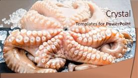  Presentation with octopus - Beautiful slide deck featuring closeup on crushed ice backdrop and a lemonade colored foreground